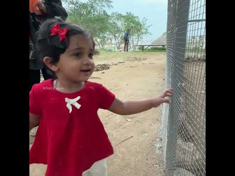 Peacock visits Peacock 😍❤️