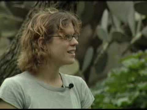 A Documentary Style Clip