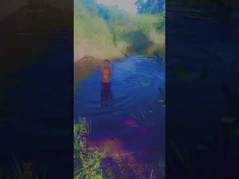 zagazai dupa-star⭐