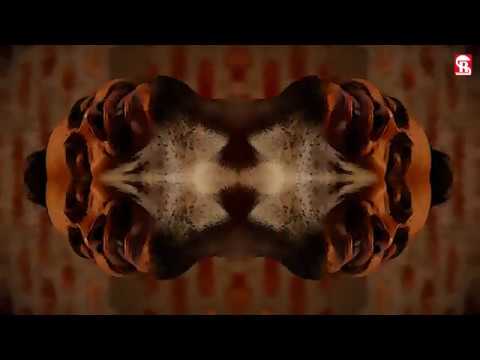 Premjit Meitei Insaaniyat