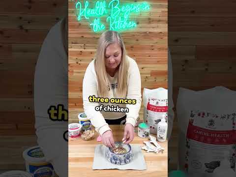 Feeding a Puppy Canine Health