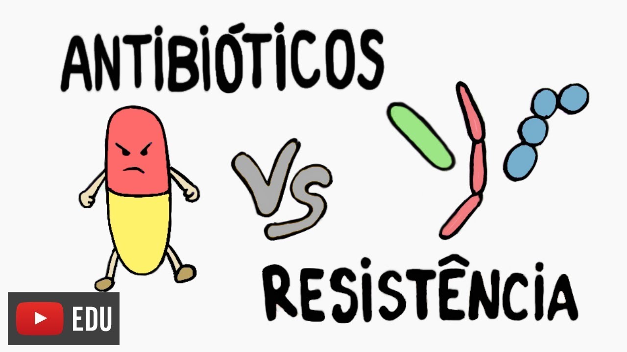 Antibióticos: o que são de onde vêm como agem #InstanteBiotec 40