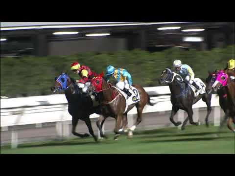 3/11/2021 (141) Cigar Buddies- A Hamelin