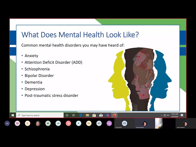 Mental Health System 101