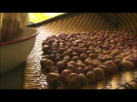 ①Ten no Shizuku Yoshiko Tatsumi PV