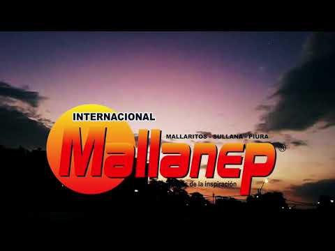 Cerveza Ron Y Mallanep - Internacional Mallanep