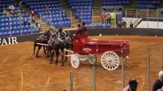 preview picture of video 'Charlottetown's Old Home Week - 2014 - Four Horse Hitch Driving'