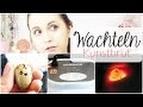 Diabetes Wunde Behandlung von chronischen Komplikationen von Diabetes