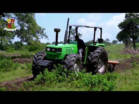 Fields of Opportunity: The Agribusiness Journey in Oyo State Under Omituntun 2.0 #agriculture