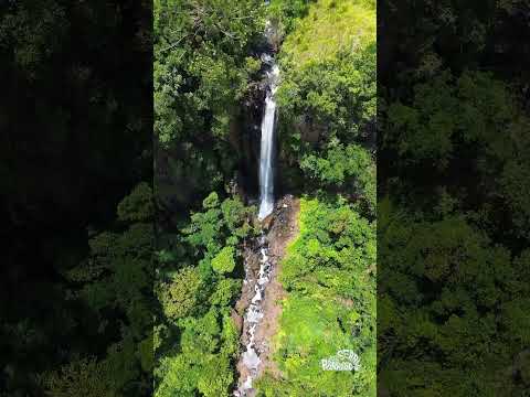 Cachoeira do Capinzal. Cândido de Abreu PR. #cachoeira # turismo