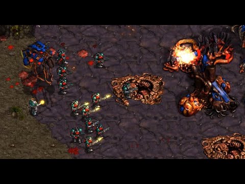 Throwback! IdrA! 🇺🇸 (T) vs Kolll! 🇩🇪 (Z) on Fighting Spirit! - StarCraft - Brood War - 2025