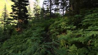 Trout Lake hike from the Trout Lake trailhead all the way up to Camas Lake, then back out through Camas Creek to the Camas Creek trailhead.