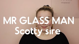 MR GLASS MAN - SCOTTY SIRE (cover)
