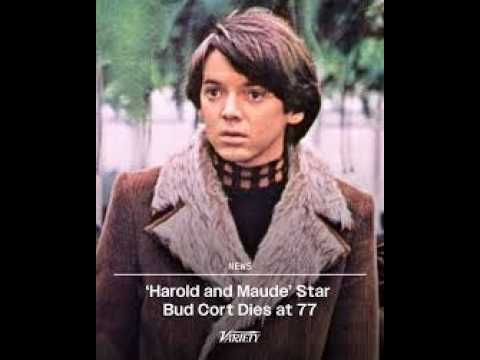 Bud Cort, best known for role in 'Harold and Maude,' dies at 77