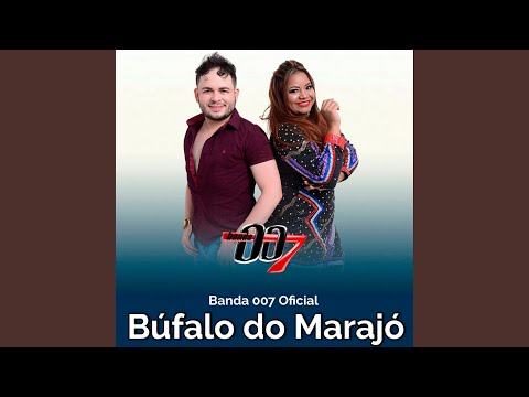Búfalo do Marajó