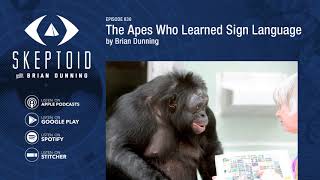 The Apes Who Learned Sign Language