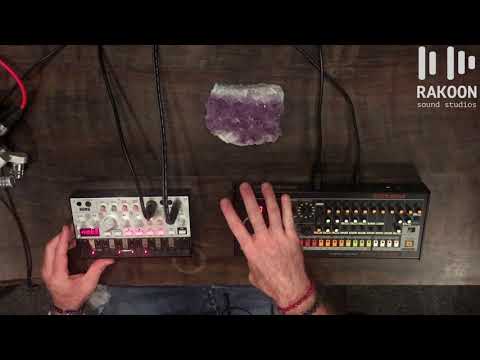 Korg Volca Bass Tutorial and Basic Functions (Rakoon Sound Studios Tips and Tricks)