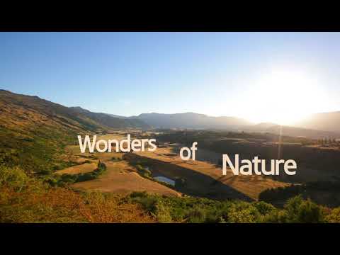 Real nature view full HD sumsung theme mp4