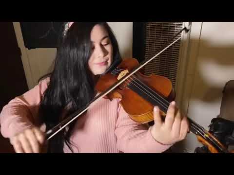 Promotional video thumbnail 1 for Aspen Violin