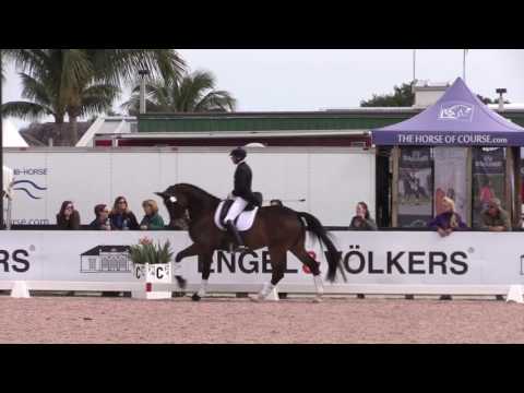 Steffen Peters and Rosamunde Warm Up for CDI 3*