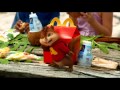 New Mcdonald S Happy Meal Alvin The Chipmunks Chipwrecked TV Ad