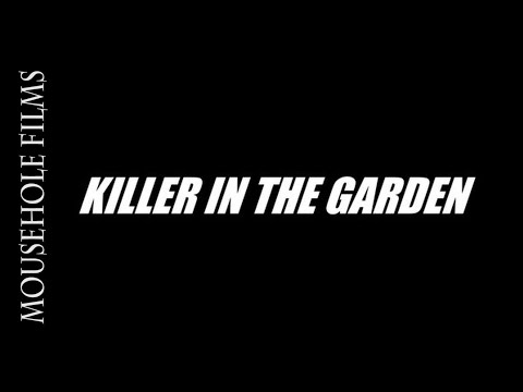 Filming Wildlife | Sparrowhawk | Lockdown Diaries Episode 2 | killer In The Garden
