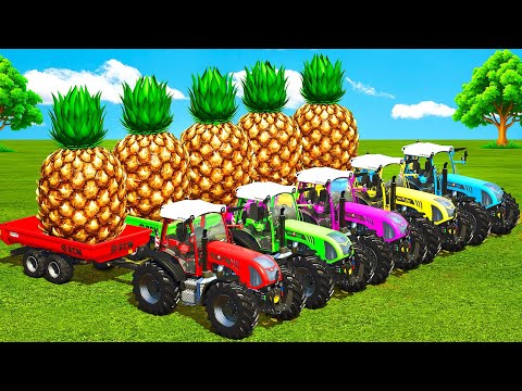 LOAD & TRANSPORT GIANT PINEAPPLES WITH RIGITRAC TRACTORS!Farming Simulator 25