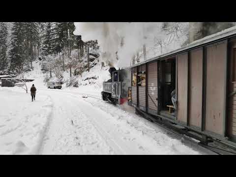 Steam Train entering the final station Mocanita Maramures