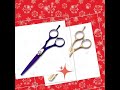 Professional Beauty Thinning Razor Scissors Beauty Barber Scissors
