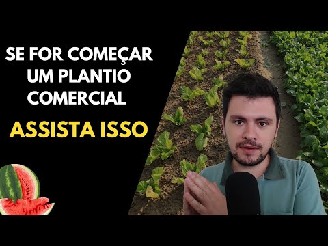 Se for COMEÇAR UM PLANTIO assista isso I Iniciando na agricultura