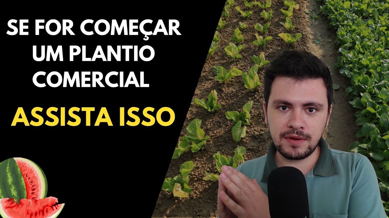 Se for COMEÇAR UM PLANTIO assista isso I Iniciando na agricultura
