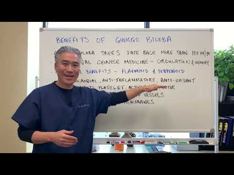 Green heaven ginkgo biloba extract, packaging size: 25 kgs