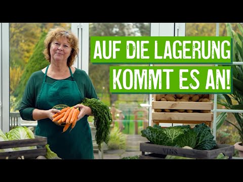 , title : 'Gemüse richtig lagern'