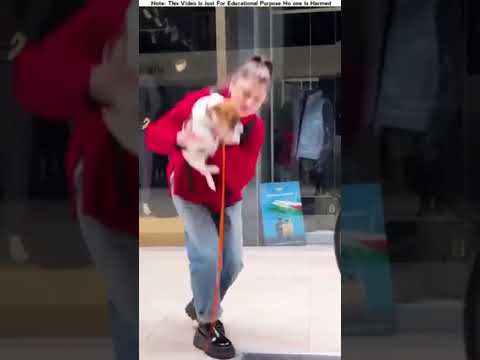 This dog ran away after seeing the escalator - 😩#shorts