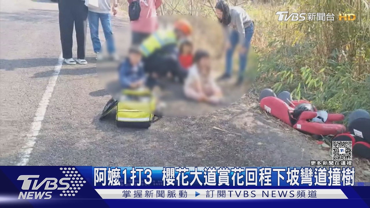 苗栗賞櫻返程衝進樹林!67歲嬤骨折困車內 3孫安全座椅保命