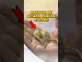 Makhluk Ini Setara Dengan Wukong Sun Wukong Minta Bantuan Buddha Blackmythwukong Wukong