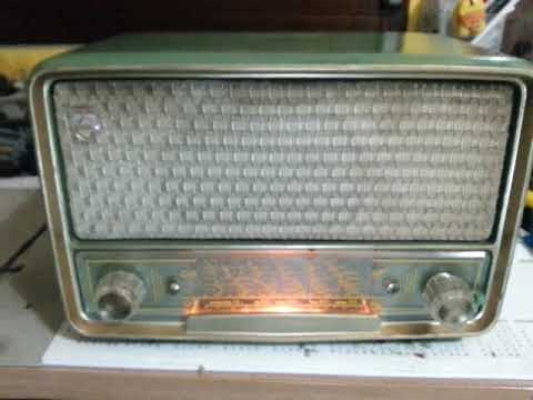 Philips BI250A onde corte sera