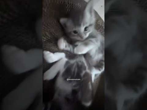 FAÇA ISSO COM SEU TRAVESSEIRO AGORA!