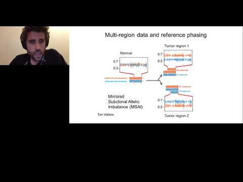 Lung Cancer Evolution and Immune Escape