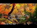 Kaisi Udasi Tere Chehre Pe Chhai Whatsapp Status