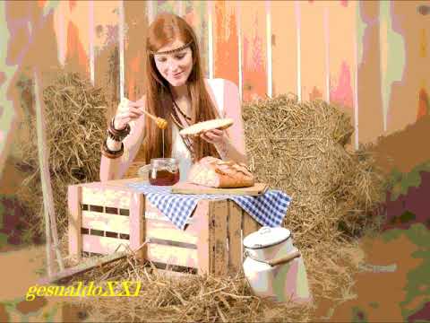 Tymon & The Transistors (Wesele) - Wieś jak malowanie (2004)