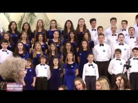 BIA Flori si stele 30 partea 1