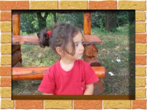 Iulia Stoicescu - As vrea sa inteleg