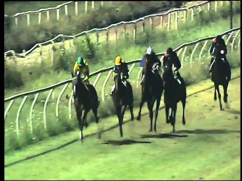 Galoppo 18/07/2015 - 7° corsa