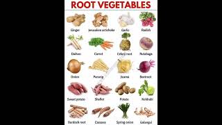 Root Vegetables Name