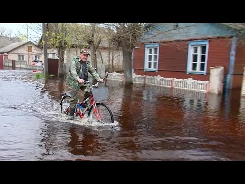 В Гомельской области пик паводка пройден видео
