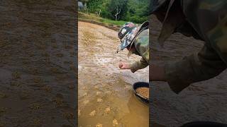 Download lagu Thai farmers' smart techniques when sowing rice seeds #smartfarmers #shortvideo #shortvideo mp3 Download lagu Thai farmers' smart techniques when sowing rice seeds #smartfarmers #shortvideo #shortvideo mp3