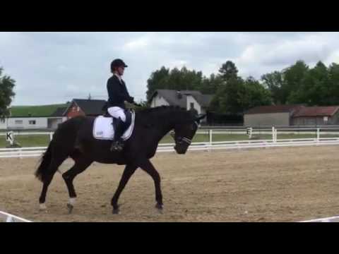 Dark Princess Forever - DPA Altheim