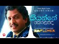 KIYANNE KELESADA KUMARASIRI PATHIRANA With Sunflower