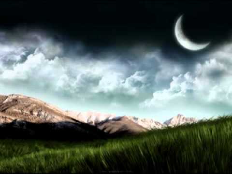 0561 Xamanica - Deep Forest - Terra de Indio